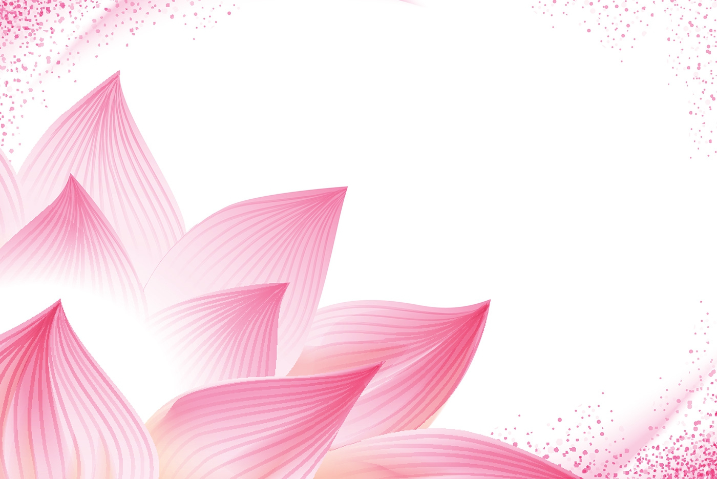 banner_3