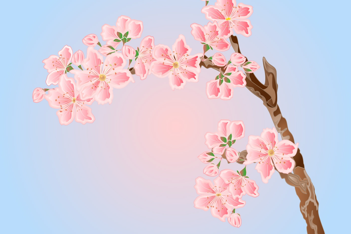 banner_5