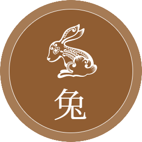 共用圖片/檔案 - 兔