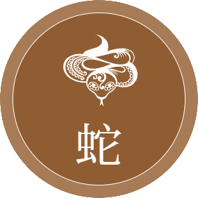 共用圖片/檔案 - 蛇
